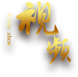 华星龙盛